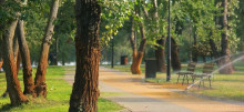 Quais as vantagens de morar perto de parques e áreas verdes?